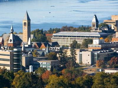 Cornell Hospitality Study