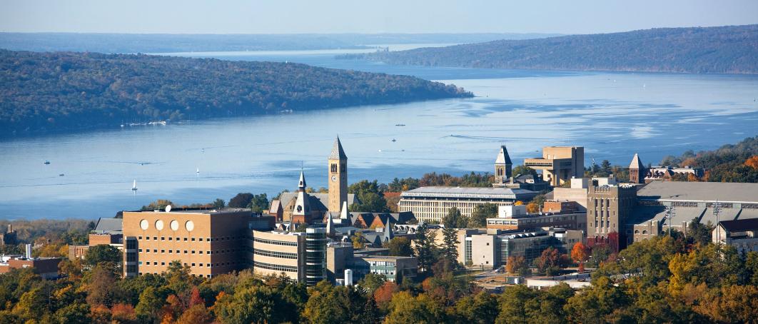Hospitality Study at the Cornell University Hospitality Study at the Cornell University